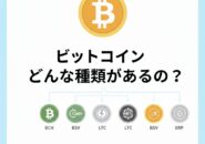 ビットコインどんな種類があるの？
