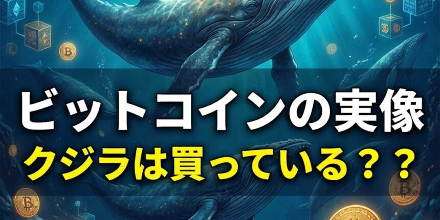 ビットコインの実像